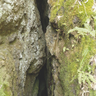 石見銀山遺跡(仙ノ山の福石鉱床) (1) pt