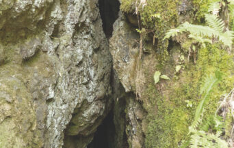 石見銀山遺跡(仙ノ山の福石鉱床) (1) cn