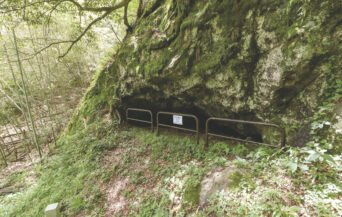 石見銀山遺跡(仙ノ山の福石鉱床) (3)