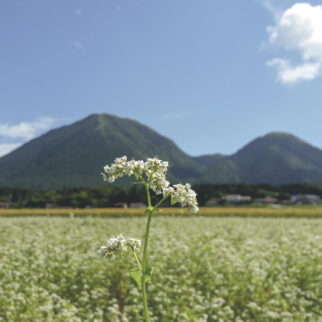 三瓶そば (1) tw