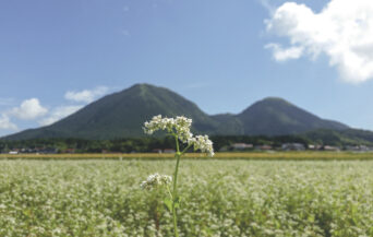 三瓶そば (1) en