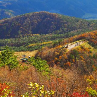 三瓶山_1538590_満開の三瓶山 tw