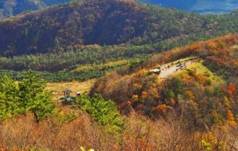 三瓶山_1538590_満開の三瓶山 cn