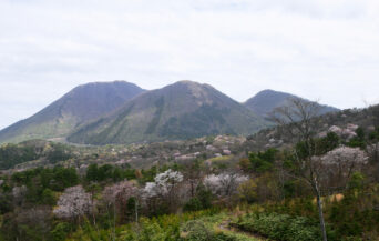 三瓶山_1516683_山桜と三瓶山 ko