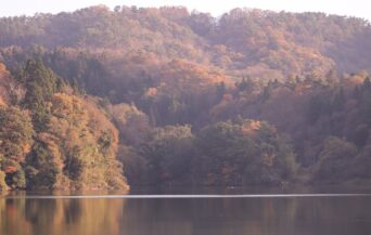 浮布の池_1539086_光の布