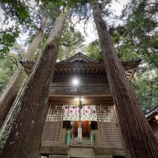 物部神社_1537676_物部神社の後神社にて ko