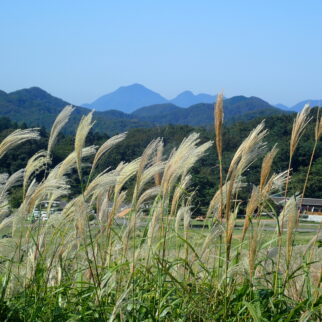 大江高山火山_1501578_大江高山遠望 pt