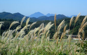 大江高山火山_1501578_大江高山遠望 en