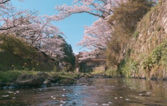 石見銀山_1538751_銀山の桜景色 cn