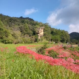 鬼村の鬼岩_1524700_鬼岩と彼岸花 en