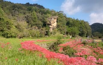 鬼村の鬼岩_1524700_鬼岩と彼岸花 en