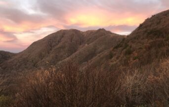 三瓶山_1529201_早朝の三瓶山 tw