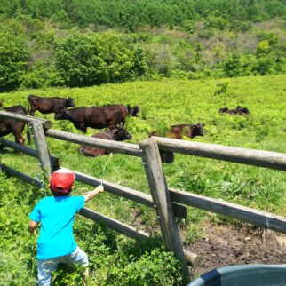 牧野景観_1539870_勇気を出して tw