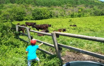 牧野景観_1539870_勇気を出して