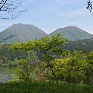 浮布の池_1538573_木立の中から ko