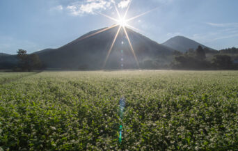 三瓶山_1538366_キラキラの朝 ko