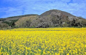 三瓶山_1539932_春の裏三瓶山(持ち込み) en