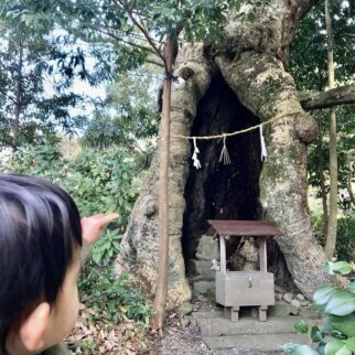 物部神社_1523522_はいらないよ