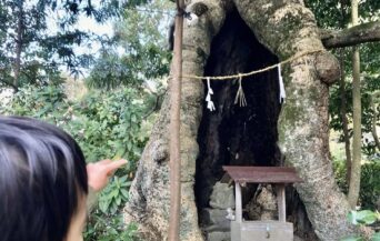 物部神社_1523522_はいらないよ