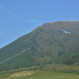 三瓶山_1538572_西の原の鯉のぼり pt