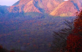 三瓶山_1538589_桃色の三瓶山 cn