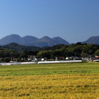 石見銀山_1539195_石見銀山遠望(持ち込み) cn