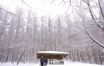 三瓶山_1537938_雪を纏った森